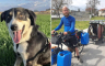 Francuz prošle godine izgubio psa u Grčkoj, sad ga našao kod granice sa BiH