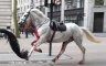 Konji pobjegli sa vježbe, jure centrom Londona (VIDEO)