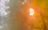 Drveće izazivalo kratak spoj, zapalio se strujni kabl (VIDEO)