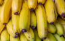 Pronađeno 60 kilograma kokaina u pošiljci banana