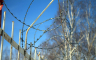 Zatvorenici iz Danske kaznu će izdržavati na Kosovu