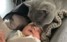 Snimak na kojem mačka upoznaje bebu oduševio više od milion ljudi