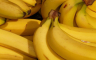 Zašto banane brzo potamne