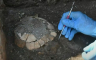 Neobičan nalaz u Pompeji, pronađeni kornjača i njeno jaje