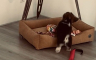 Pas koji u krevet sprema omiljene igračke oduševio internet