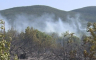 Požar u selu Necvijeće kod Trebinja je pod kontrolom