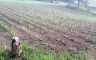 Registrovanim poljoprivrednicima u Kostajnici 37.000 KM podsticaja
