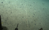 Naučnici zbunjeni misterioznim rupama otkrivenim na dnu okeana