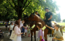 Konji Žandarmerije Srpske izazvali euforiju