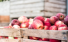 Smanjena prognoza evropskog uroda jabuke, troškovi rastu