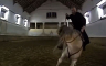 Zidan pao s konja i sjajno se dočekao (VIDEO)