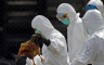 Evropu pogodila najgora kriza ptičjeg gripa ikad