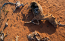 Djeca u Somaliji umiru od gladi zbog suše