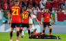 Haos u reprezentaciji Belgije, sukob dvojice igrača