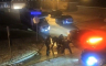 Američki policajci brutalno pretukli mladića (UZNEMIRUJUĆI VIDEO)
