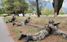 Oružane snage BiH profitirale prihvatanjem NATO standarda
