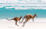 Australijska plaža Laki bej među 10 najljepših