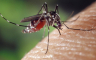 Ovu krvnu grupu najviše vole komarci, a privlače ih i još neke stvari