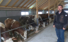 Farmeri traže povećanje otkupnih cijena mlijeka