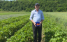 Teška godina za poljoprivredne proizvođače: Kiša ugrozila jagodu