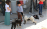 Otvoren novi azil za pse u Trebinju