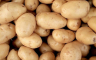 Zabranjen uvoz krompira iz Poljske zbog pesticida