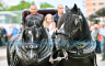 Tradicionalni defile kočija i konjanika u Banjaluci (FOTO/VIDEO)