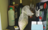 Akcija "Overdoz 2": Heroin i kokain pronađeni u Rudom