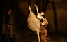 Kraljica romantičnog baleta: "Giselle" na sceni NPS u okviru Balet Festa Sarajevo