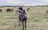 Porodica Petrović iz Gradiške godinama proizvodi magareće mlijeko