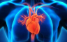 Kardiovaskularne bolesti prvi uzrok smrti