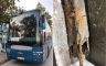 Tempirana bomba na putu: Nijemci isključili bh. autobus iz saobraćaja