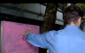 Protesti u Beogradu: Lazović ofarbao tablu ispred RTS-a u pink
