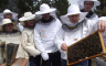 Najteža godina diže cijene meda