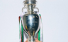 It's coming home: Engleska i Irska domaćini Evropskog prvenstva 2028. godine