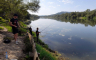 Ribolovci okupirali Bosnu: Varalicom lovili ribe grabežljivice