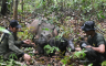 U Indoneziji se rodilo mladunče rijetkog sumatranskog nosoroga
