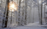 Polarna hladnoća u Austriji, temperatura ide i do minus 25