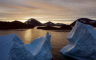 Opasnost za cijelu planetu: Sve više vegetacije i močvara na Grenlandu (FOTO)