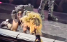 Madona pala sa stolice na koncertu (VIDEO)