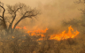 Vatra progutala 500.000 hektara zemlje (FOTO/VIDEO)