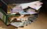 Odlazi predvodnica borbe protiv utaje poreza u Njemačkoj