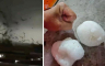 Tornado i led poharali kineski grad od 18 miliona stanovnika (VIDEO)