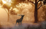 Panika u Americi: Kuga među jelenima pretvara ih u zombije, bolest prijeti ljudima