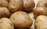 Kako pravilno čuvati krompir da ne proklija