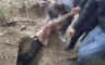 Strava u Moldaviji: Jedva punoljetan, a pijan ubio rođaku i muškarca živog zakopao (VIDEO)