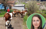 Odmor u BiH: Jakuzzi i sauna usred sela, pa još i kravu pomuzeš