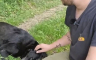Pas spasio život mladiću: Priča iz Prnjavora pokazuje da je pas najbolji prijatelj čovjeku