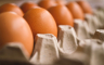 Efekti uredbe u Srpskoj: Karton od 30 jaja jeftiniji 0,6 KM