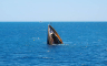Udar kod Krima: Potopljen ruski brod (VIDEO)